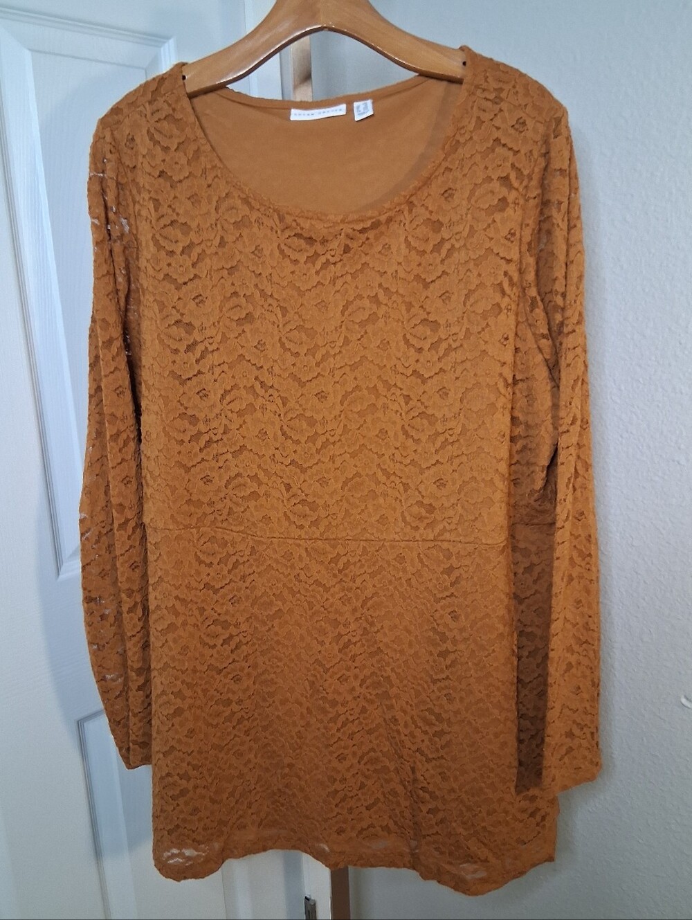 Susan Graver Rust Colored Sheer Sleeves Tunic Top 1X